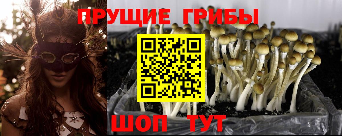 Коломна  Псилоцибиновые грибы MAGIC MUSHROOMS  Вход с VPN 
